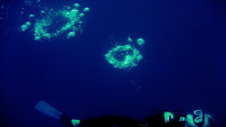 blowing bubbles - pearl farm, samal island. canon ixus60 by Carlos Munda 